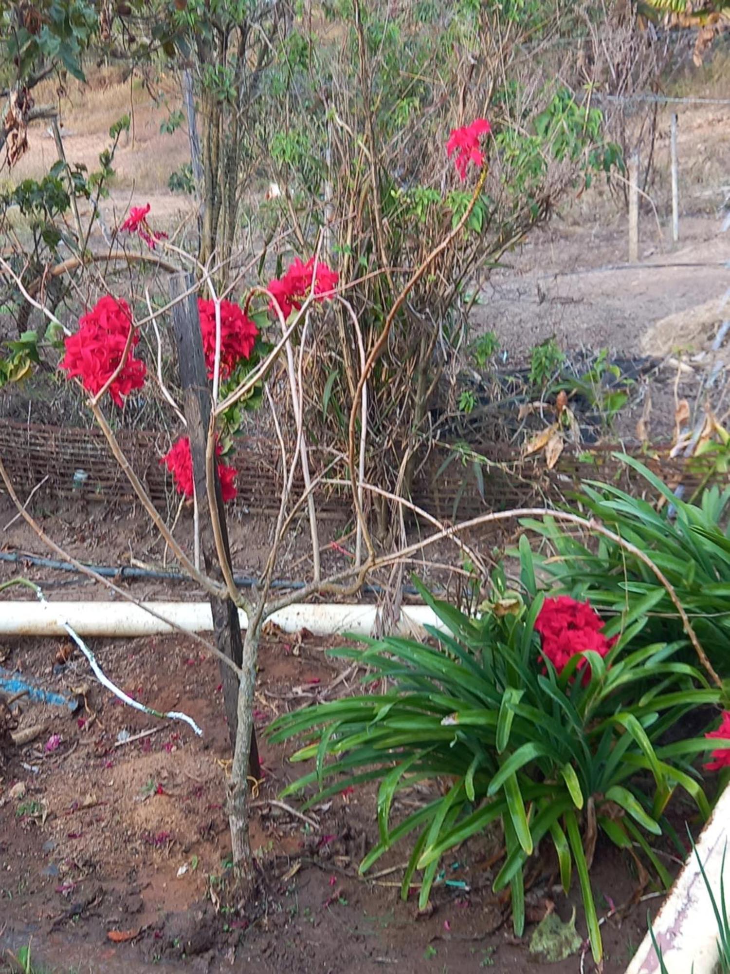 Pousada Recanto Alegre Campestre Exterior foto
