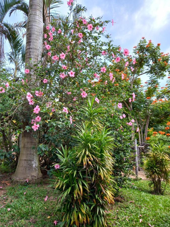 Pousada Recanto Alegre Campestre Exterior foto